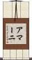 Amarni Scroll