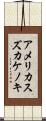 アメリカスズカケノキ Scroll