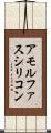 アモルファスシリコン Scroll