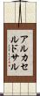 アルカセルドサル Scroll