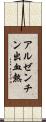 アルゼンチン出血熱 Scroll