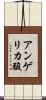 アンゲリカ酸 Scroll