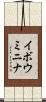 イボウミニナ Scroll