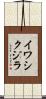 イワシクジラ Scroll