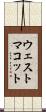 ウェストマコット Scroll