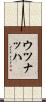 Uznach Scroll