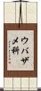 ウバザメ科 Scroll
