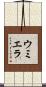 ウミエラ Scroll