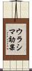 ウラシマ効果 Scroll