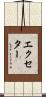 エクセター Scroll