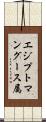 エジプトマングース属 Scroll