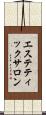 エステティックサロン Scroll
