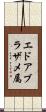 エドアブラザメ属 Scroll