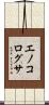 エノコログサ Scroll