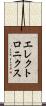 エレクトロニクス Scroll
