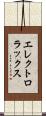 エレクトロラックス Scroll