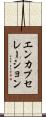 エンカプセレーション Scroll