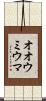 オオウミウマ Scroll
