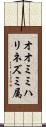オオミミハリネズミ属 Scroll