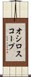 オシロスコープ Scroll