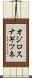 オジロスナギツネ Scroll