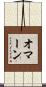 オマーン Scroll