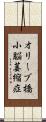 オリーブ橋小脳萎縮症 Scroll