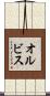 オルビス Scroll