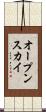 オープンスカイ Scroll