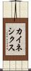 カイネシクス Scroll