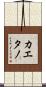 Caetano Scroll