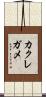 カクレガメ Scroll
