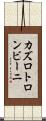 カズロトロンビーニ Scroll