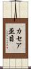 カセア亜目 Scroll