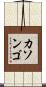 カソンゴ Scroll