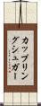 カップリングシュガー Scroll