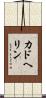 カドヘリン Scroll