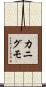カニグモ Scroll