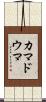 カマドウマ Scroll