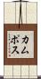 Campos Scroll