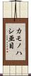 カモノハシ亜目 Scroll