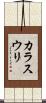 カラスウリ Scroll