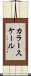 カラー・スケール Scroll