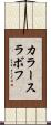 カラースラボフ Scroll