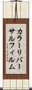 カラーリバーサルフィルム Scroll
