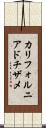 カリフォルニア・ドチザメ Scroll