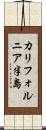 カリフォルニア半島 Scroll