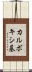 カルボキシ基 Scroll