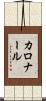 カロナール Scroll