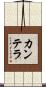 カンテラ Scroll